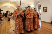 1J7A9560-